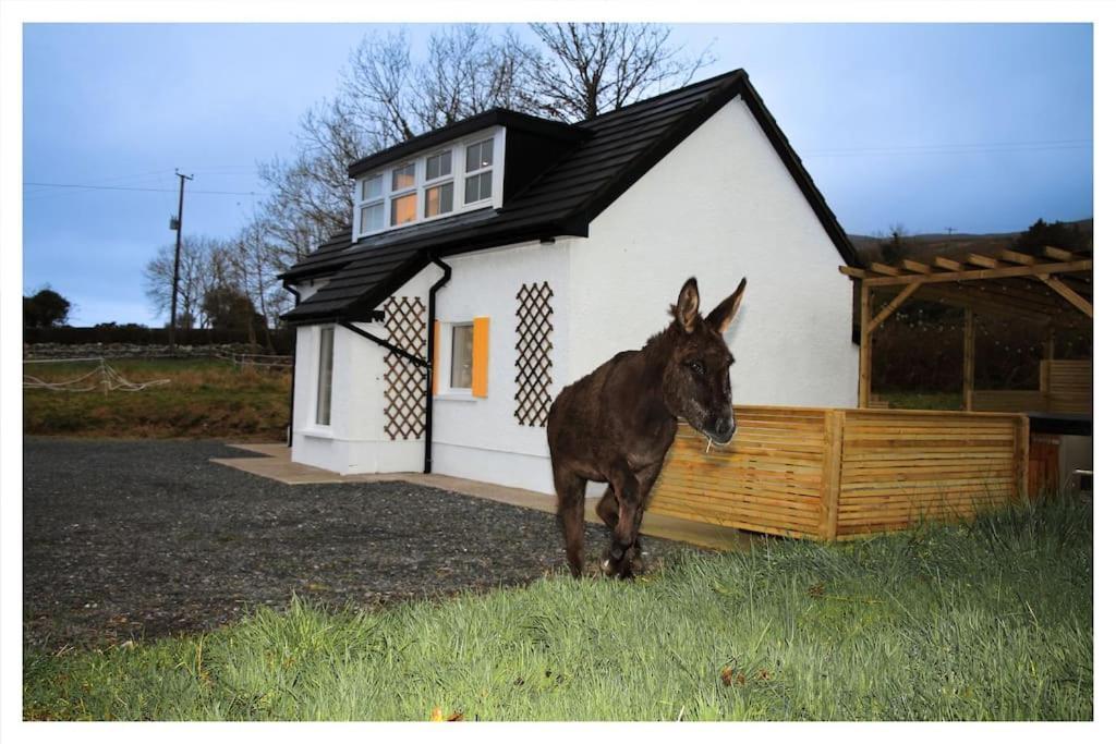 Killeavy Cottage Meigh Bagian luar foto