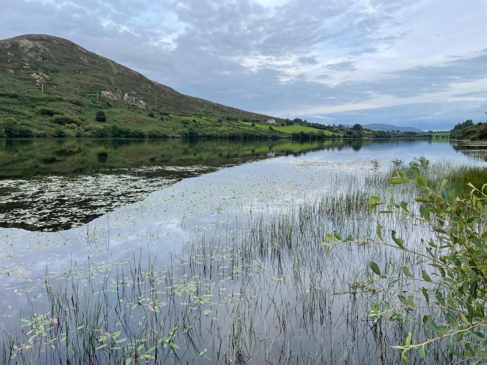 Killeavy Cottage Meigh Bagian luar foto