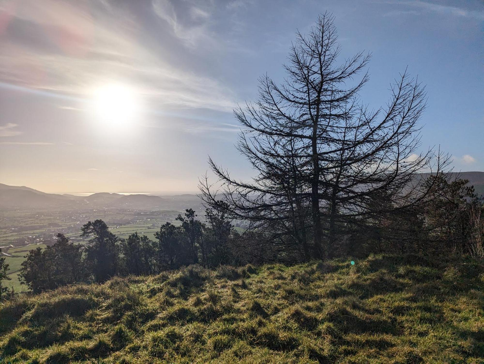 Killeavy Cottage Meigh Bagian luar foto