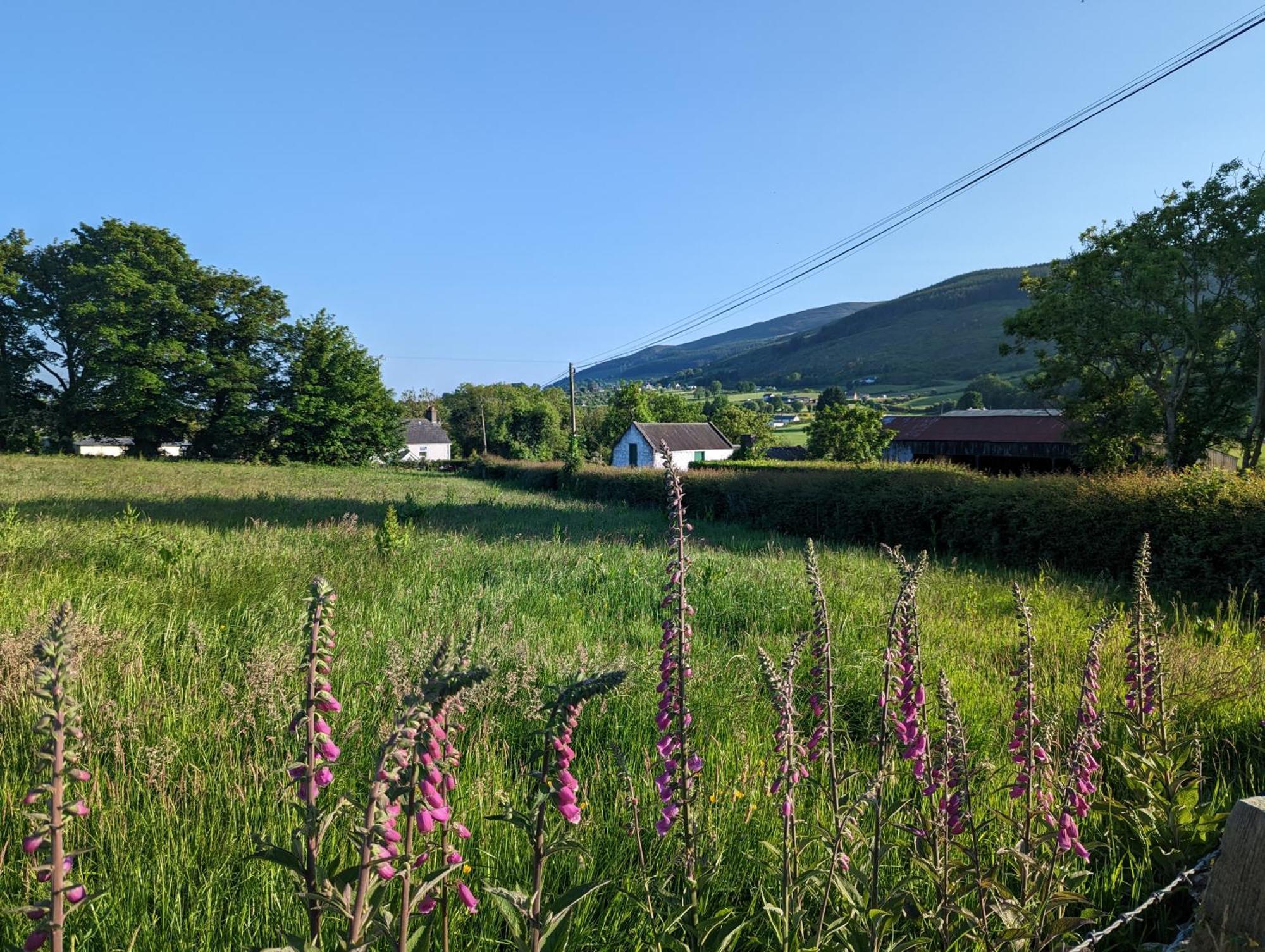 Killeavy Cottage Meigh Bagian luar foto